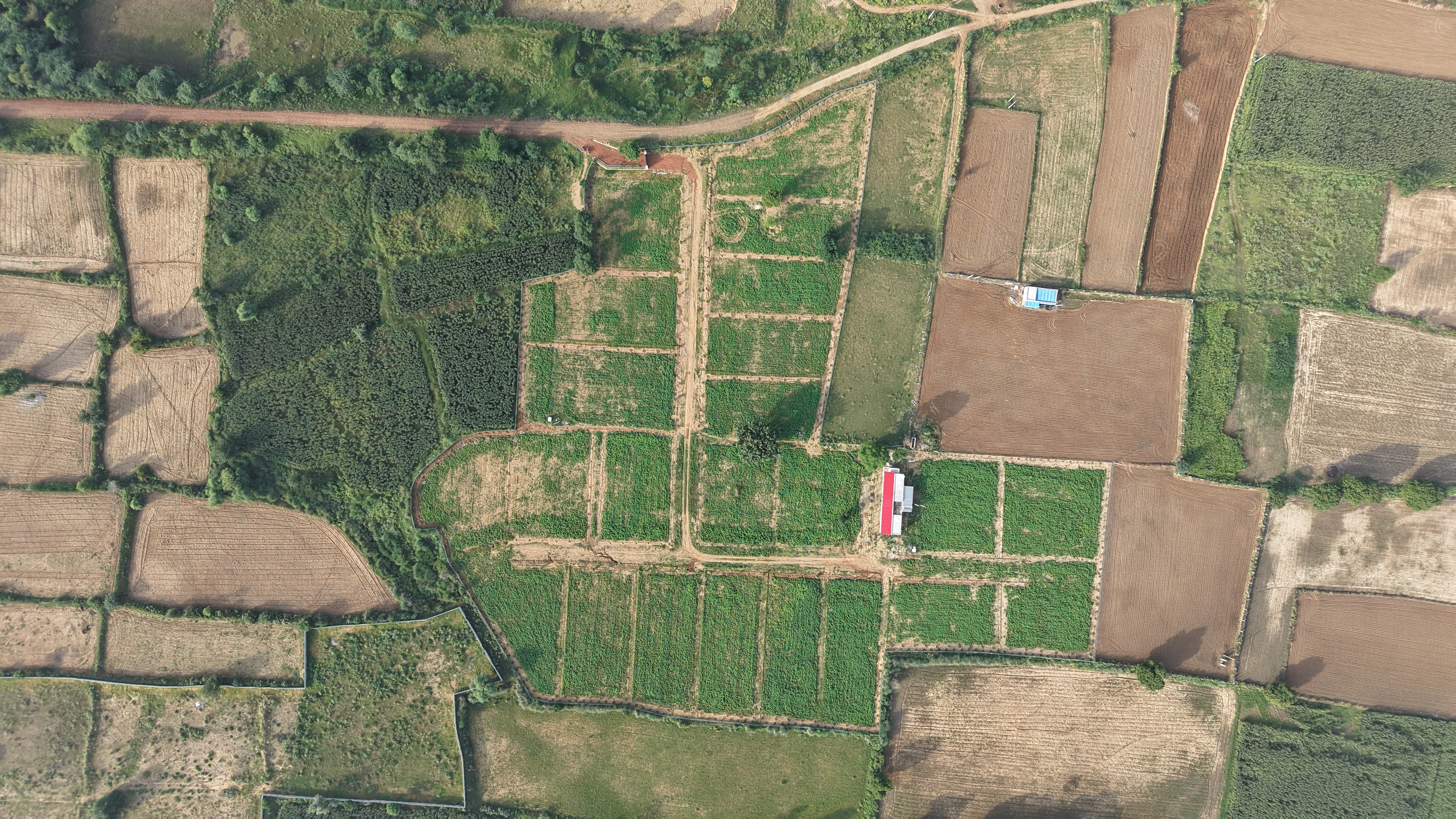farmhouse-plot-layout-and-green-landscape-of-vyom-chhatarpur-farms-rajasthan