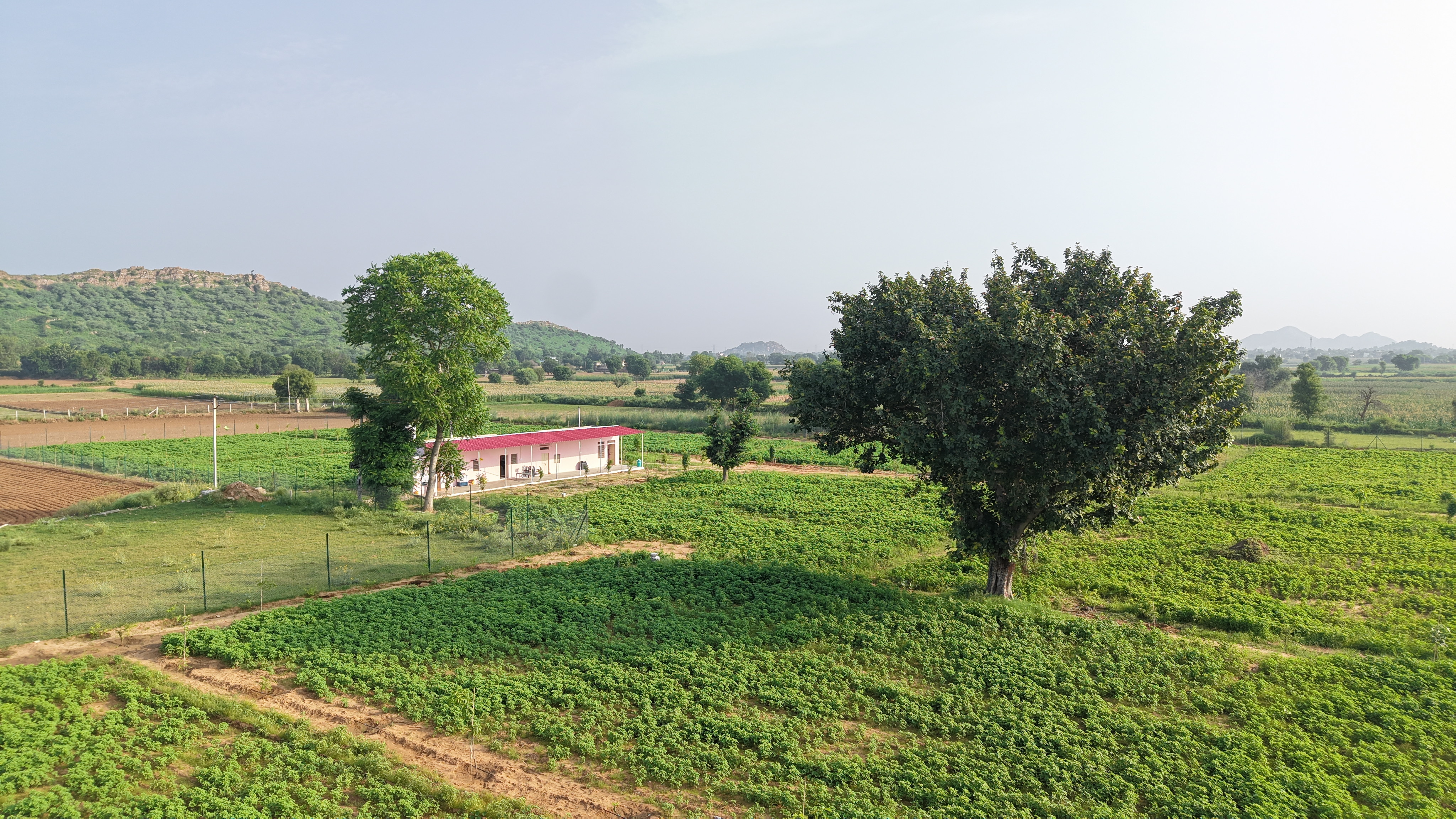 vyom-chhatarpur-farms-luxury-farmhouse-project-by-vyom-regency-in-alwar-rajasthan