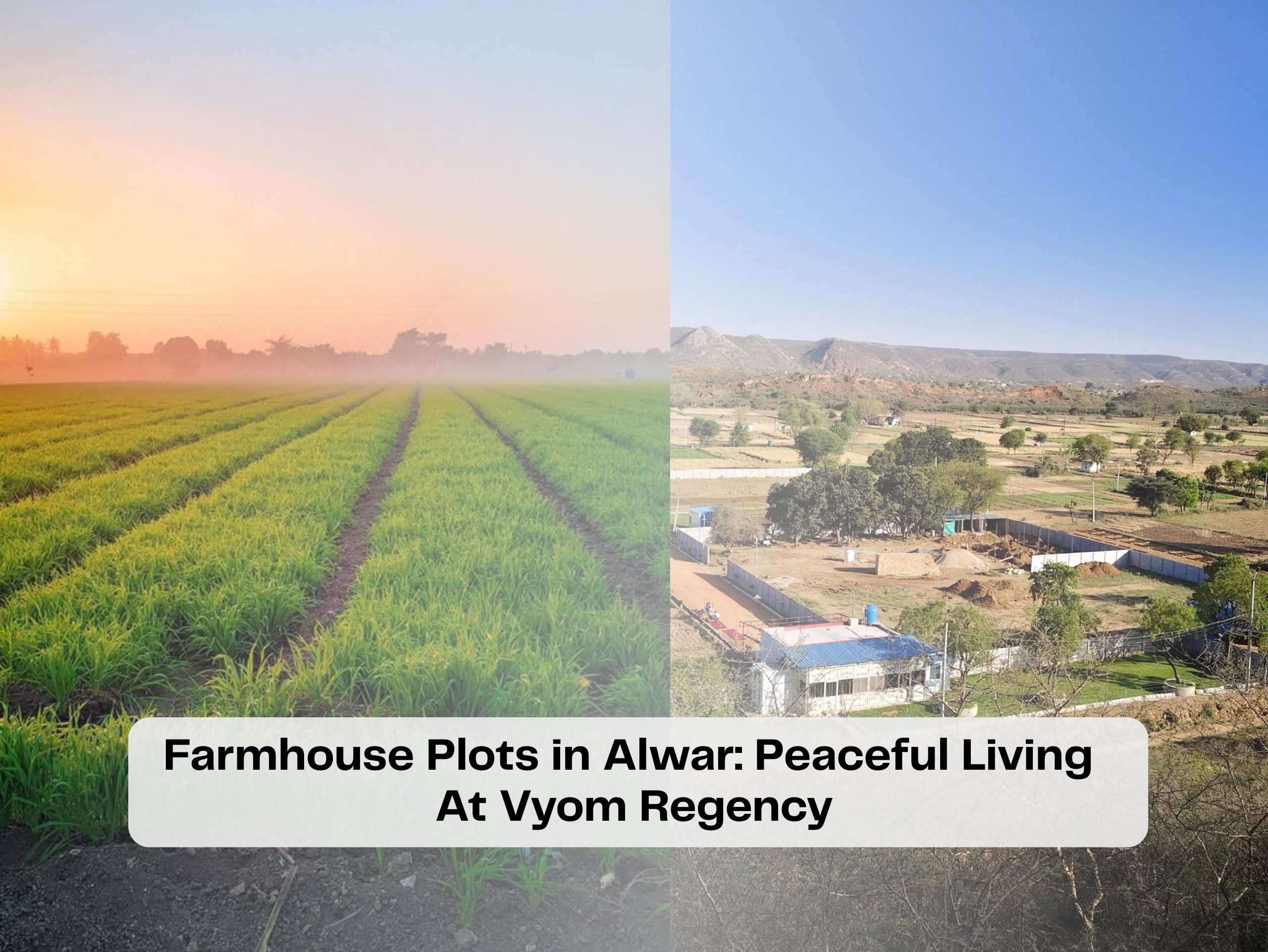 farmhouse-plots-in-alwar-vyom-regency-gated-community-aravalli-hills-peaceful-living